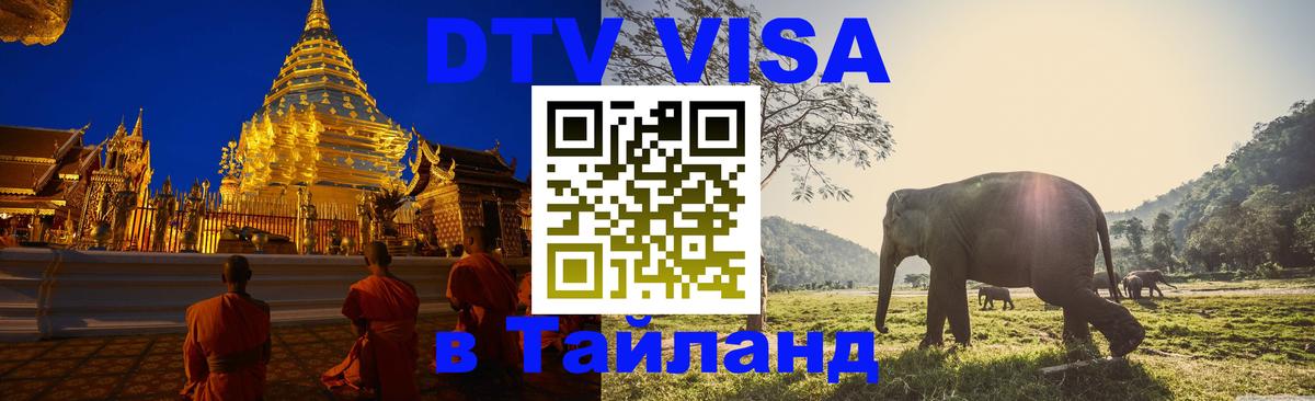 Оформление DTV визы под ключ: стоимость и тарифы, только загранпаспорт - 18.11.2025 